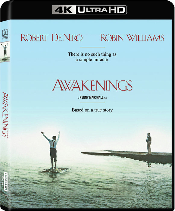 Awakenings (1990) (MOD) (4K Movie) - movie cover art