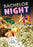 Bachelor Night (MOD) (DVD Movie) - movie cover art
