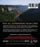 Balloon Man (MOD) (BluRay Movie) - back cover art