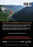 Balloon Man (MOD) (DVD Movie) - back cover art