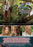 Bermuda Island (MOD) (DVD Movie) - back cover art