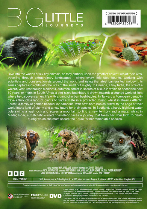 Big Little Journeys (MOD) (DVD Movie) - back cover art