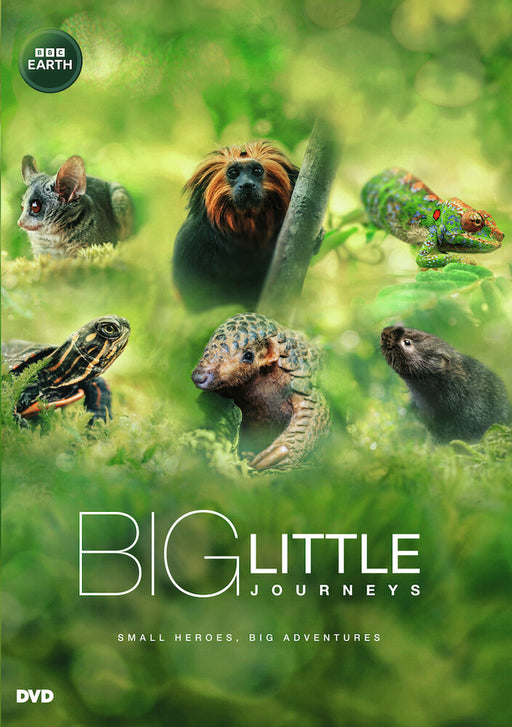Big Little Journeys (MOD) (DVD Movie) - movie cover art