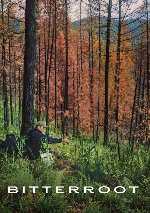Bitterroot (MOD) (DVD Movie) - movie cover art