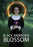 Black Ambrosia Blossom (MOD) (DVD Movie) - movie cover art