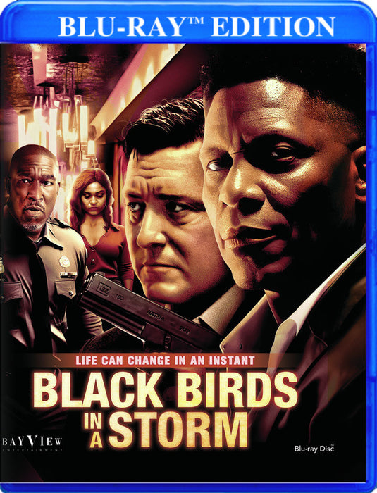Black Birds in a Storm (MOD) (BluRay Movie) - movie cover art
