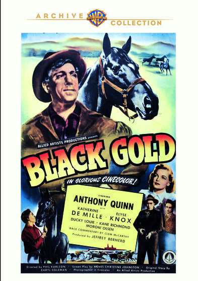 Black Gold (MOD) (DVD Movie) - movie cover art