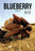 Blueberry (MOD) (BluRay Movie) - movie cover art