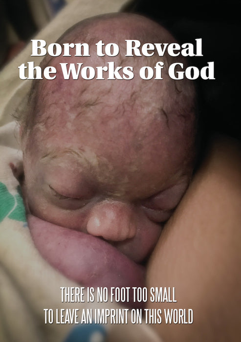 Born to Reveal the Works of God (MOD) (DVD Movie) - movie cover art