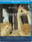 Botticelli's Primavera (MOD) (BluRay Movie) - movie cover art