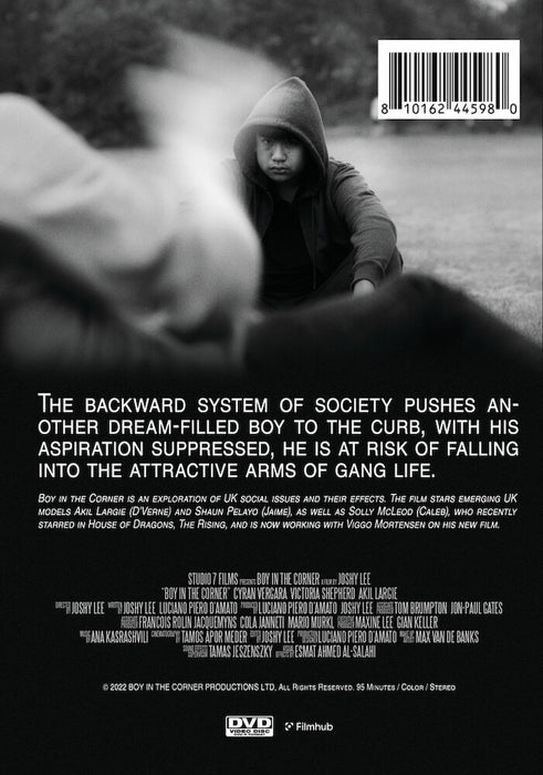 Boy in the Corner (MOD) (DVD Movie) - back cover art