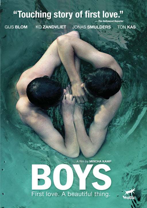 Boys (MOD) (DVD Movie) - movie cover art