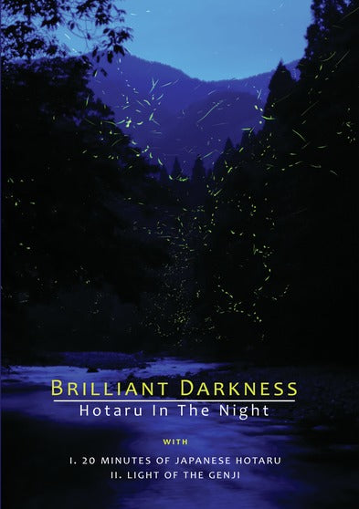 Brilliant Darkness (MOD) (DVD Movie) - movie cover art