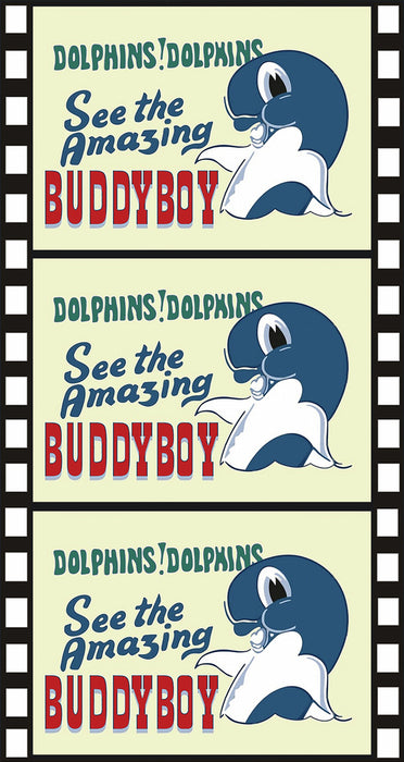 Buddyboy (MOD) (DVD Movie) - movie cover art