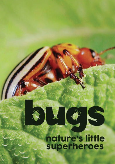 Bugs: Nature's Little Superheroes (MOD) (DVD Movie) - movie cover art
