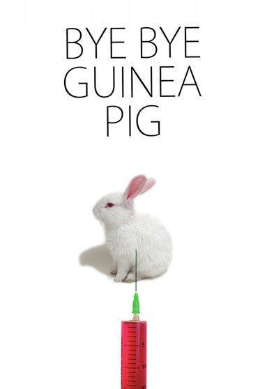 Bye Bye Guinea Pig (MOD) (DVD Movie) - movie cover art