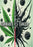 Cannabis v.s Cancer (MOD) (DVD Movie) - movie cover art