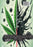 Cannabis v.s Cancer (MOD) (DVD Movie) - back cover art