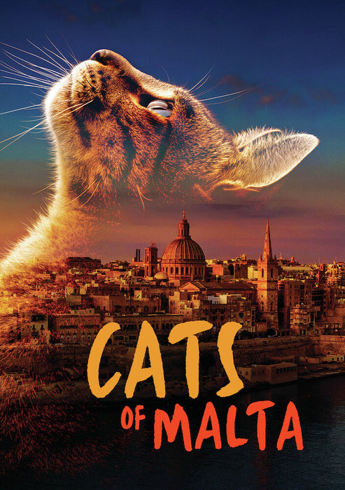 Cats of Malta (MOD) (DVD Movie) - movie cover art