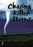 Chasing Killer Storms (MOD) (DVD Movie) - movie cover art