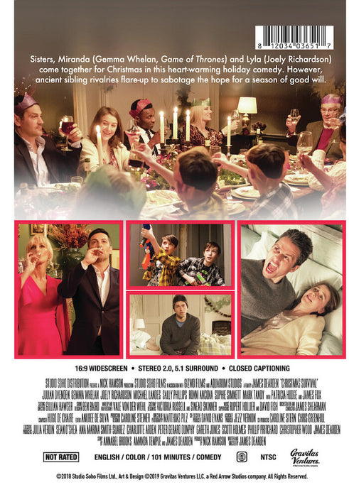 Christmas Survival (MOD) (DVD Movie) - back cover art