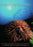 Crown of Thorns Starfish: Monster from the Shallows (MOD) (DVD Movie) - movie cover art