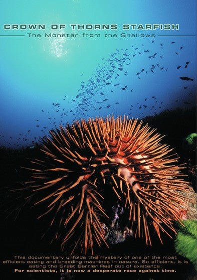 Crown of Thorns Starfish: Monster from the Shallows (MOD) (DVD Movie) - movie cover art