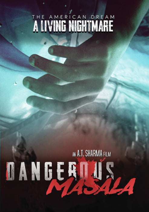 Dangerous Masala (MOD) (DVD Movie) - movie cover art