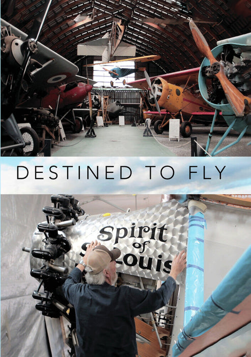 Destined To Fly (MOD) (DVD Movie) - movie cover art