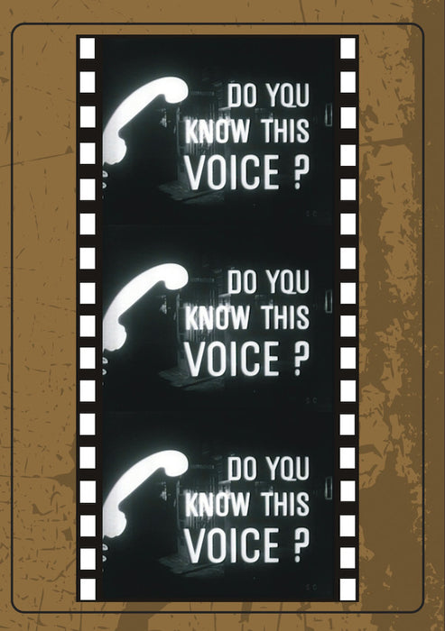 Do You Know This Voice? (MOD) (DVD Movie) - movie cover art