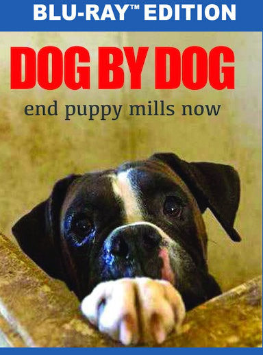 Dog By Dog (MOD) (BluRay Movie) - movie cover art