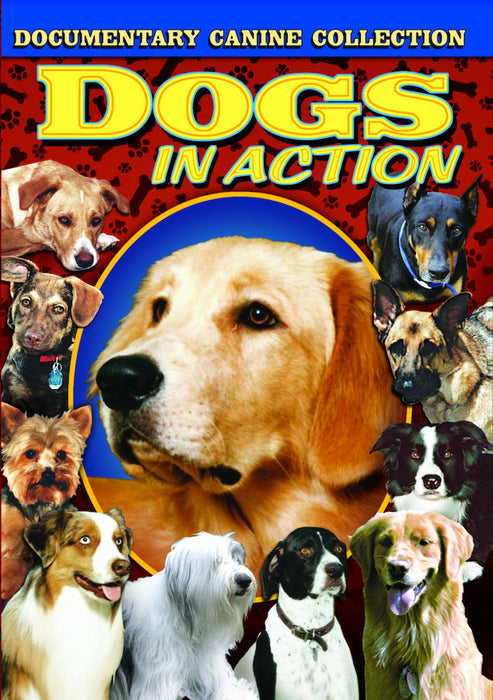 Dogs in Action, 1934-1955 (MOD) (DVD MOVIE)