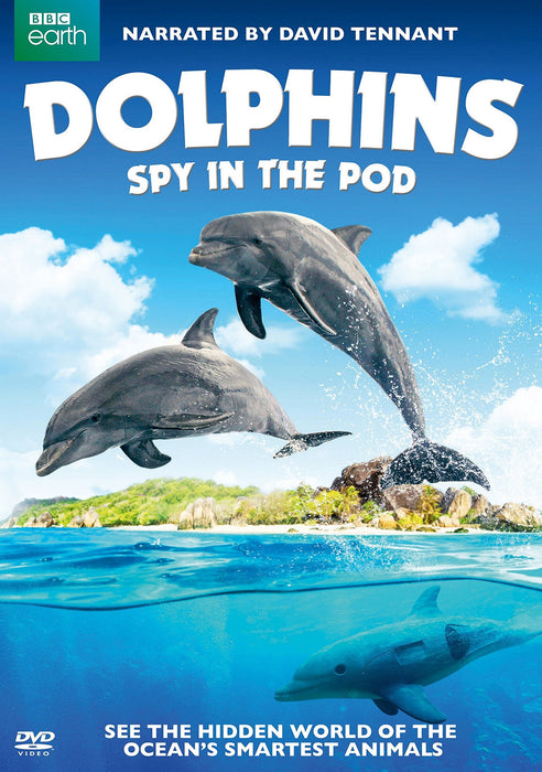 Dolphins: Spy in the Pod DVD - movie cover art