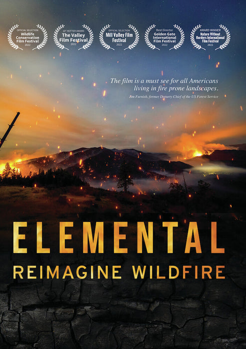Elemental: Reimagine Wildfire (MOD) (DVD Movie) - movie cover art