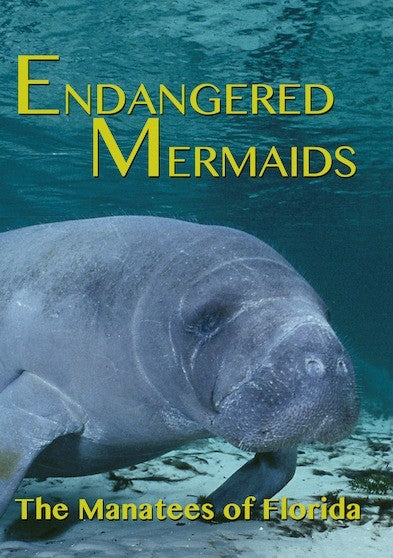 Endangered Mermaids: The Manatees of Florida (MOD) (DVD Movie) - movie cover art