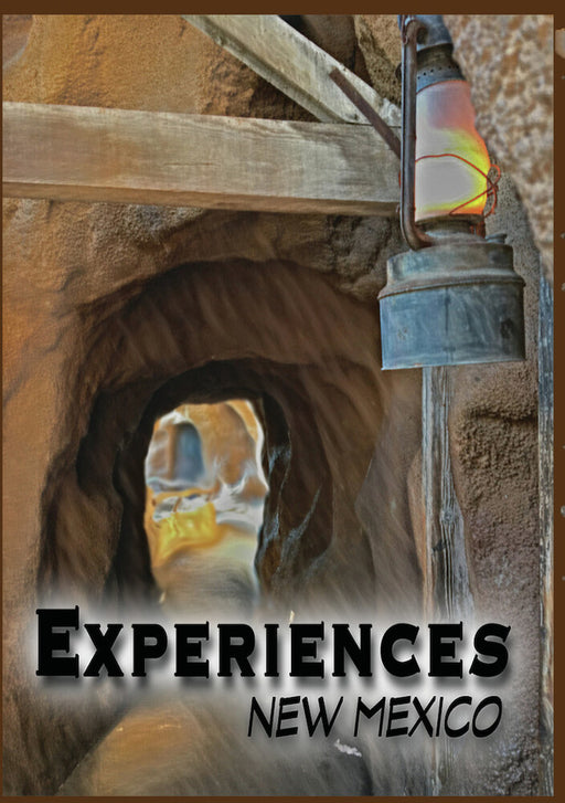 Experiences: New Mexico (MOD) (DVD Movie) - movie cover art