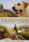 Far from Home: The Adventures of Yellow Dog (MOD) (DVD Movie) - movie cover art