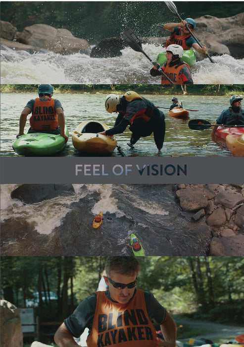 Feel of Vision (MOD) (DVD Movie) - movie cover art