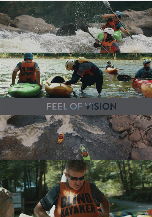 Feel of Vision (MOD) (DVD Movie) - movie cover art