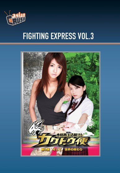 Fighting Express Vol.3 (MOD) (DVD Movie) - movie cover art