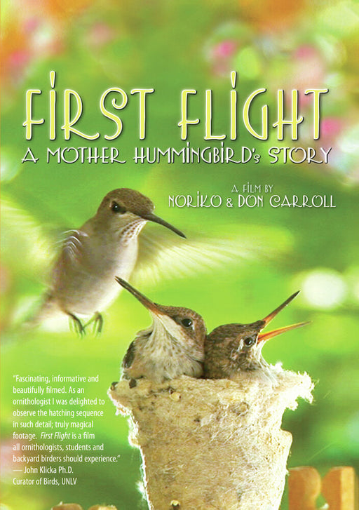 First Flight - A Mother Hummingbird's Story (MOD) (DVD Movie) - movie cover art