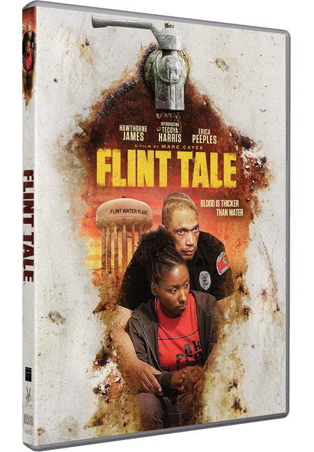 Flint Tale (MOD) (DVD Movie) - movie cover art