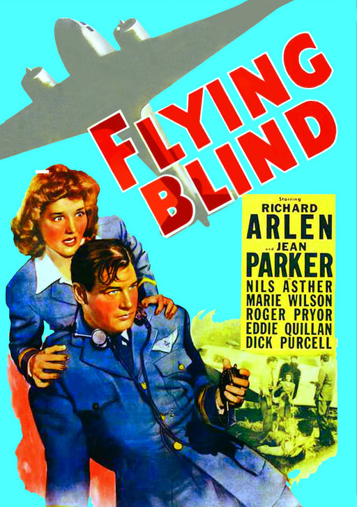 Flying Blind (MOD) (DVD MOVIE)