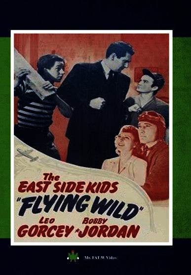 Flying Wild (MOD) (DVD Movie) - movie cover art