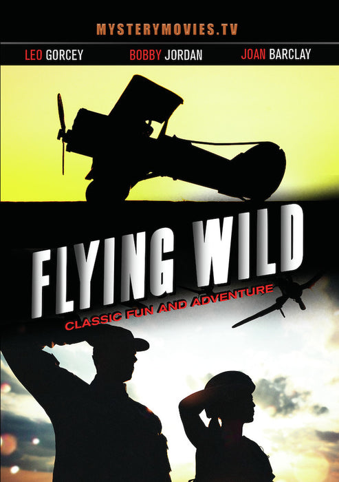 Flying Wild (MOD) (DVD Movie) - movie cover art