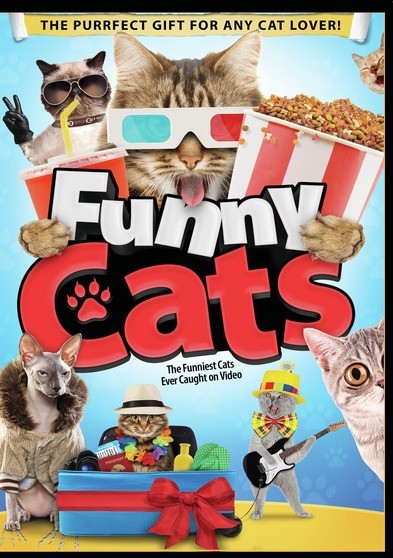 Funny Cats (MOD) (DVD Movie) - movie cover art