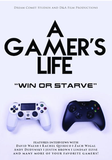 Gamer's Life, A (MOD) (DVD Movie) - movie cover art