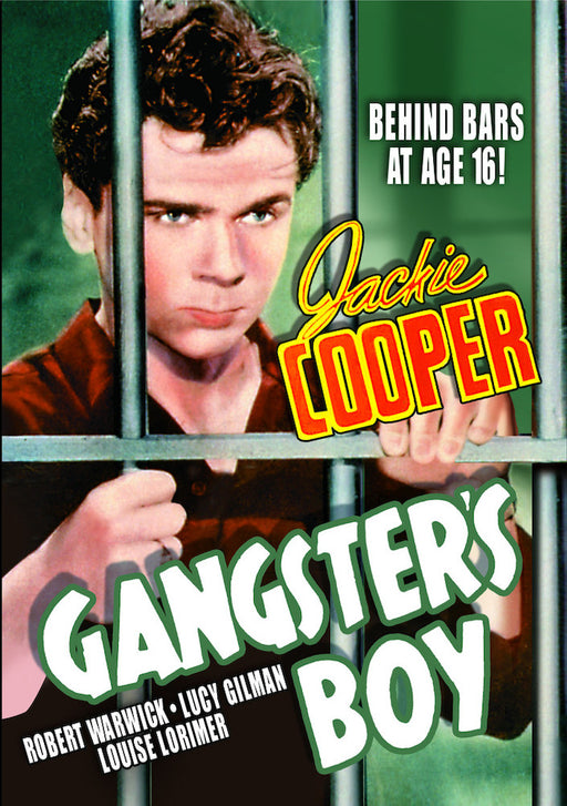 Gangster's Boy (MOD) (DVD MOVIE)