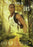 Gold Hunters (MOD) (DVD Movie) - movie cover art