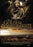 Golden Pomegranate, The (MOD) (DVD Movie) - movie cover art